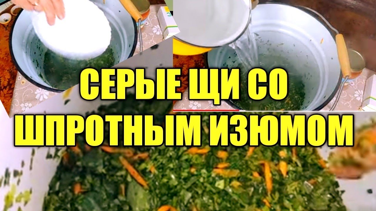 СЕРЫЕ ЩИ И ШПРОТНЫЙ ИЗЮМ /ЖИЗНЬ ПРОСТЫХ ЛЮДЕЙ В ДЕРЕВНЕ - YouTube