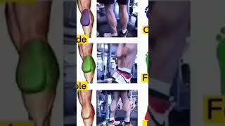 أفضل التمارين لعضلة السمانة . معلومة_تهمك The best exercises for the calf muscle.