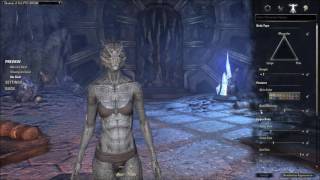 ESO PTS Update 11 v2 5 0 Champion Template