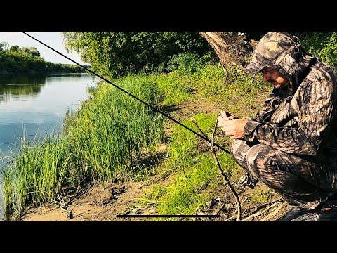 River camping, fishing, Wilderness ASMR