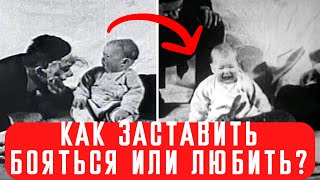 Малыш Альберт и Малыш Питер - самый жестокий эксперимент психологов, создавший современную рекламу