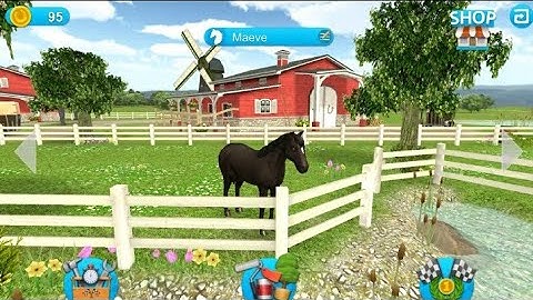 HORSE WORLD SHOW JUMPING FOR ALL HORSE FANS