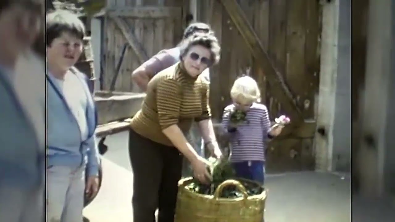 Pfefferminz Ernte 1978 in Höchstadt