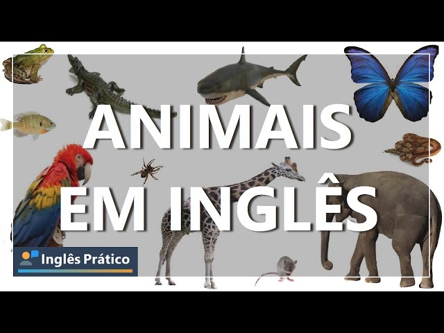 Qual é O nome dos animais em inglês? em Promoção na Americanas