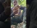 cupuaçu do Amazonas vocês conhecem?? 😎