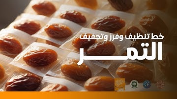 Line of Drying and cleaning dates fruit