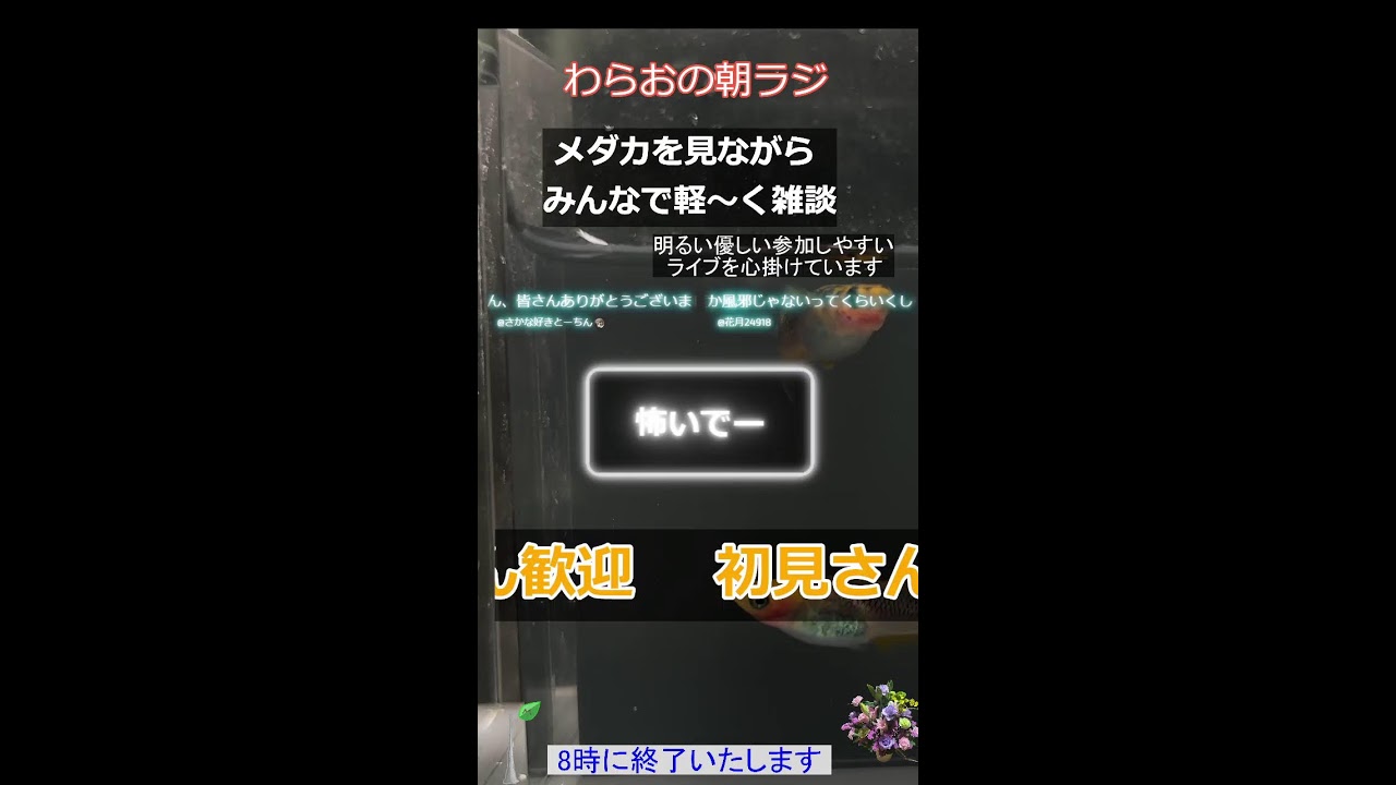 わらおの朝ラジ
