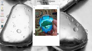 Ramme Social Media Program screenshot 2