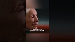 Message from Dr Jane Goodall