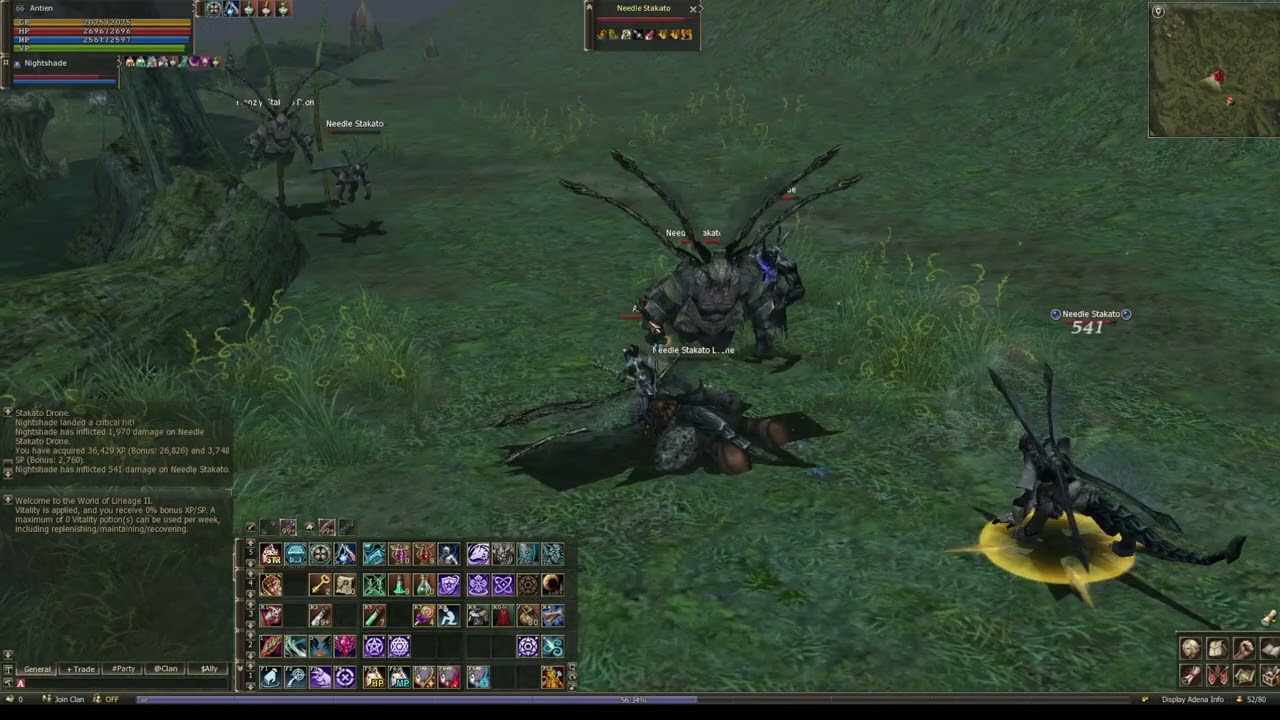 Clean up the Swamp Of Screams.  /Lineage 2 Reborn x1 Origin