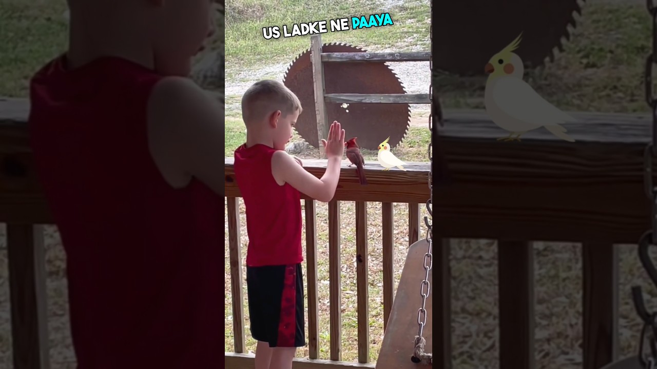 The Final Message on the Porch 💕🥹 | #shorts