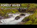 8 HRS Calming Forest Stream Sound &amp; Birds Chirping to Create Relaxing Nature Ambience