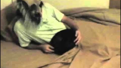 12vdb.com - car audio database: Various Titanicporn.1