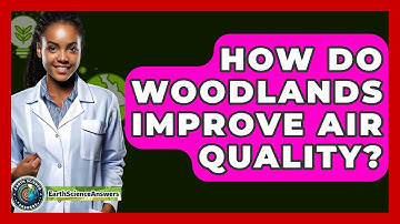 How Do Woodlands Improve Air Quality? - Earth Science Answers