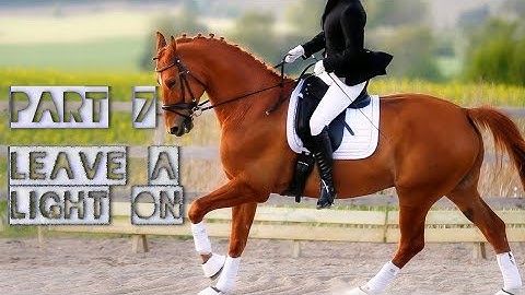 Leave a light on | Equestrian MEP Part 7