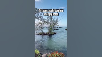 Thumbnail of 🎶🍱🏝️ maybe just take the rest of your day off and go find this vibe..