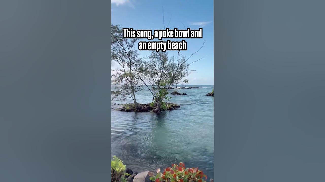 πΆπ±ποΈ maybe just take the rest of your day off and go find this vibe.. πΆπ±ποΈ maybe just take the rest of your day off and go find this vibe..