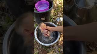 IMG 1043
