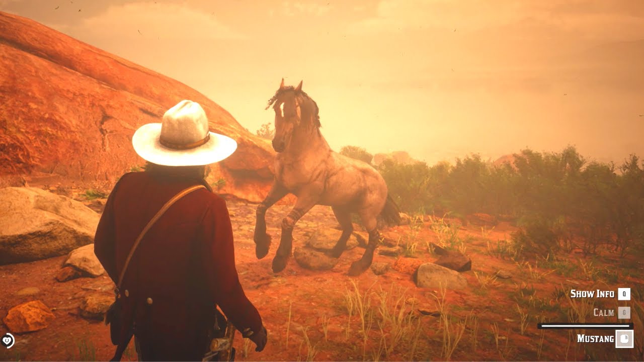 Taming the rare Tiger Striped Bay Mustang Red Dead Redemption 2 YouTube