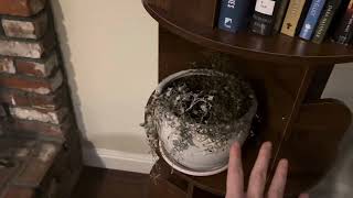Honest review! - rotating bookshelf