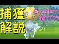 【ユクシー】捕獲解説！Excellentスローの投げ方を解説！【ポケモンGO】