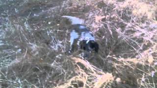 Видео003