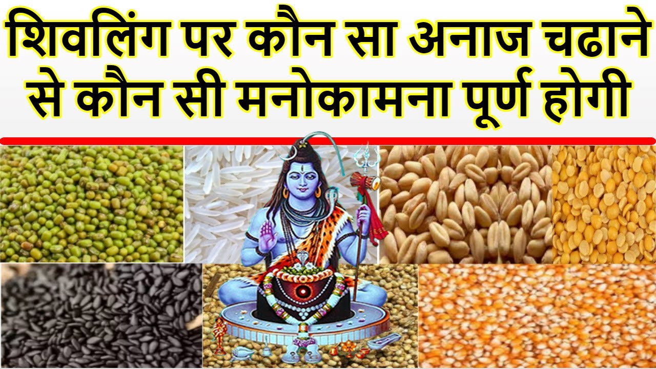 Shivling par kya chadhaye/ Shivling par chawal/ Shivling par Til Anaj