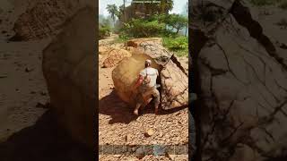 Day 1 with Commentary - ARK: the Island Ascended