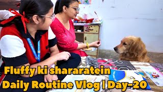 Daily Routine Vlog | Day-20 | SST ka paper | Fluffy ke drame #hanishka_world 
