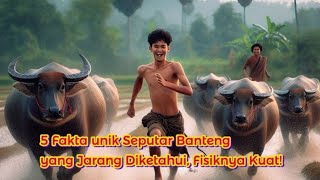 5 Fakta unik Seputar Banteng yang Jarang Diketahui, Fisiknya Kuat!