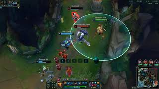bard q flash senna