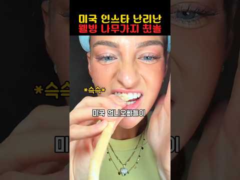 미국인스타 난리난 웰빙 나뭇가지 칫솔 thumbnail