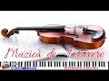 PROGRAM INSTRUMENTAL LA VIOARA ▲ HORA MARE SI SARBA ▲ FRUMOS