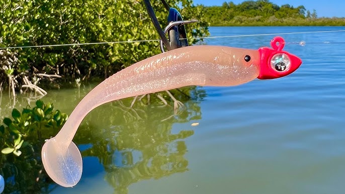 Chasing Mangrove Jacks - Tiny Creek 