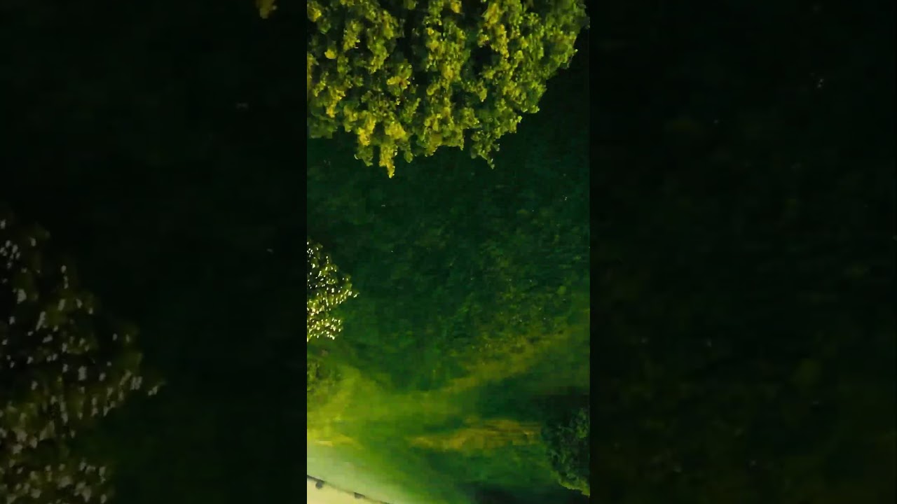 Some Westwood Rippage