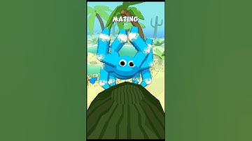 Spider Fact #10 Peacock Spiders #spider #game #fluffy #gaming #indiegame #gamedev #indiedev