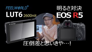 EOS R5と最高輝度モニターの明るさ比較対決【FEELWORLD LUT6】