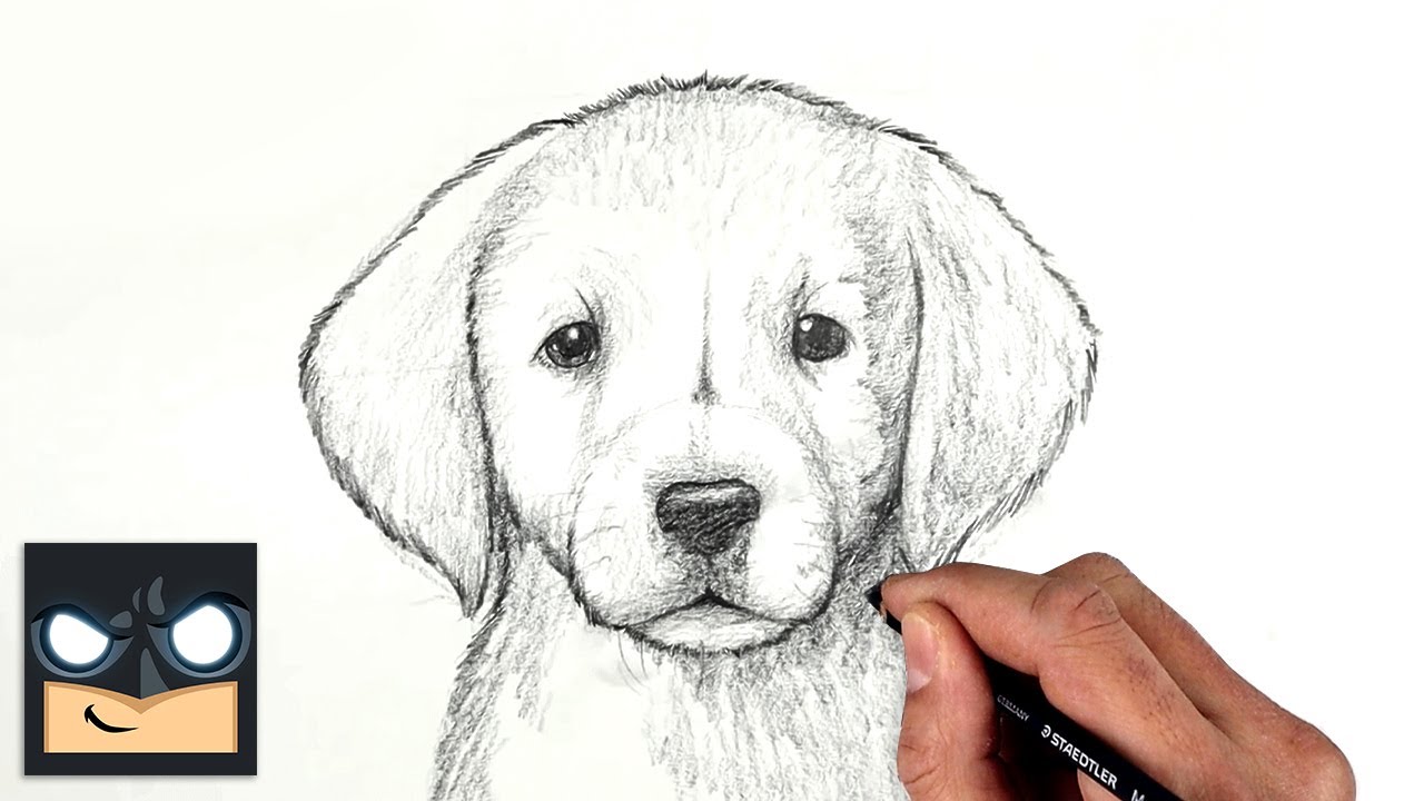 Sketch-A-Pet - Richmond SPCA