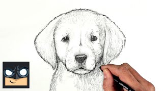 How To Draw a DOG | GOLDEN LAB PUPPY | Sketch Saturday screenshot 4