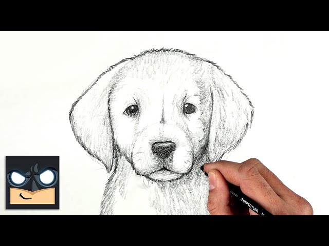 Dog Pencil Portrait Hyper Realistic Portrait Siddhant- Stoned Santa