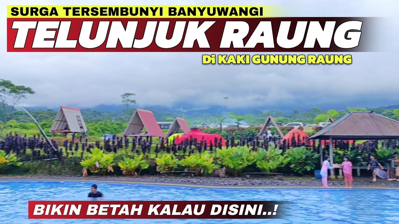 Tempat Camping Terbaik Banyuwangi! Melihat Keindahan Telunjuk Raung Terbaru 2025 Wisata Terindah!!!