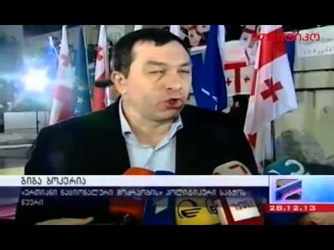 დემოკრატია საფრთხეშია -- აქცია ვერის ბაღში