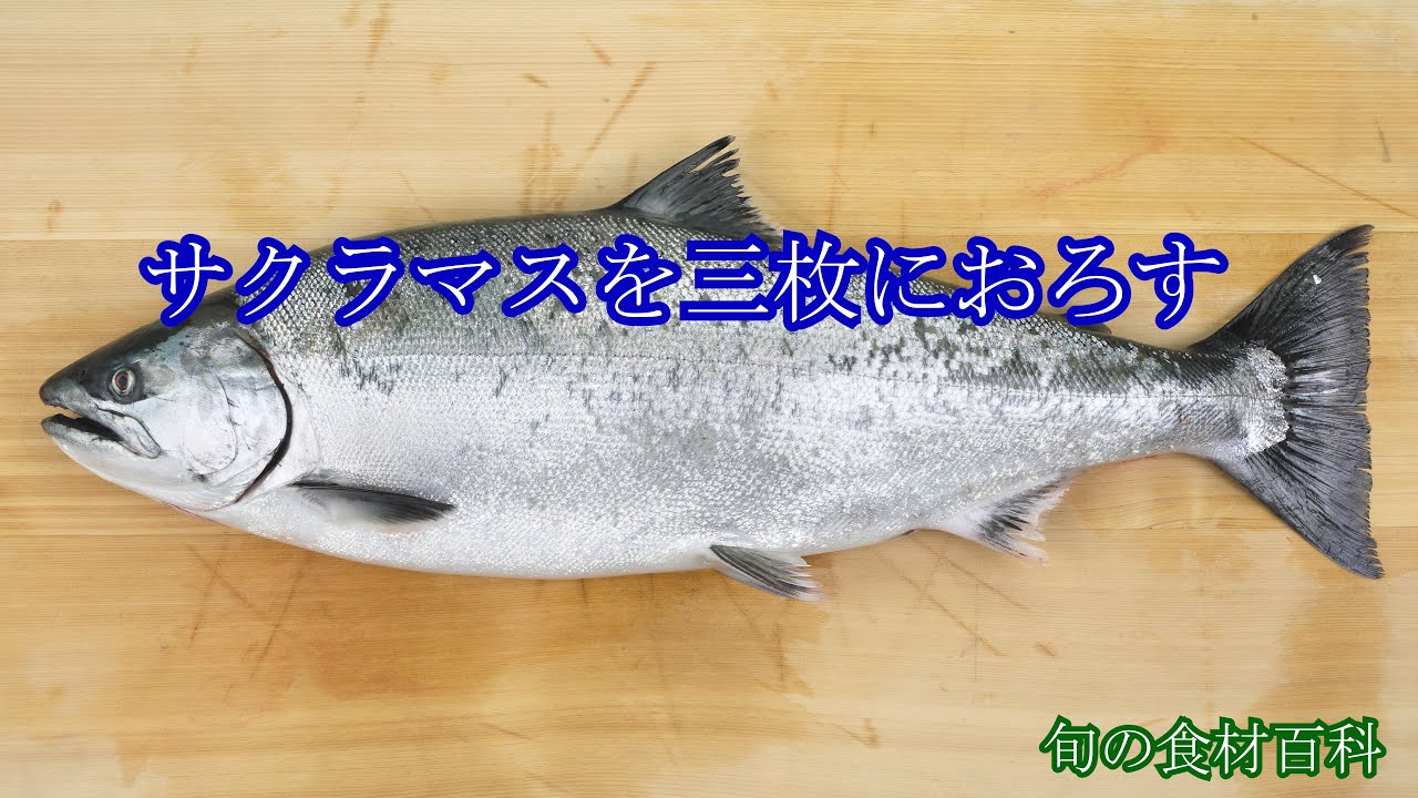 サクラマスをさばく How To Fillet A Cherry Salmon Youtube