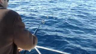 Jig Man Et Ses Potes