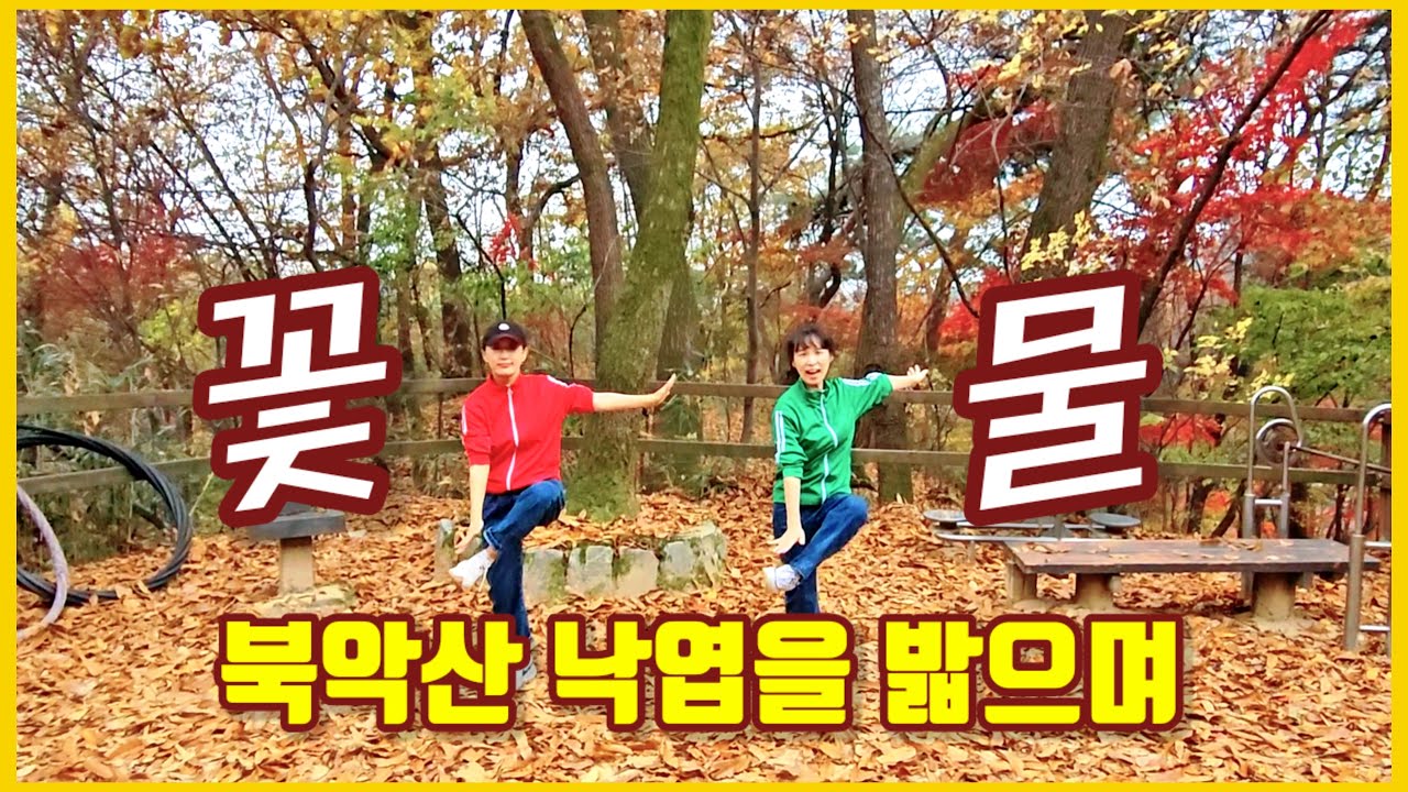 신유 꽃물 실버체조 🌸 어르신 감성 트로트 전신운동