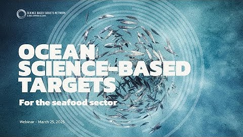 Launching Science-Based Targets for the Ocean: Seafood Value Chains