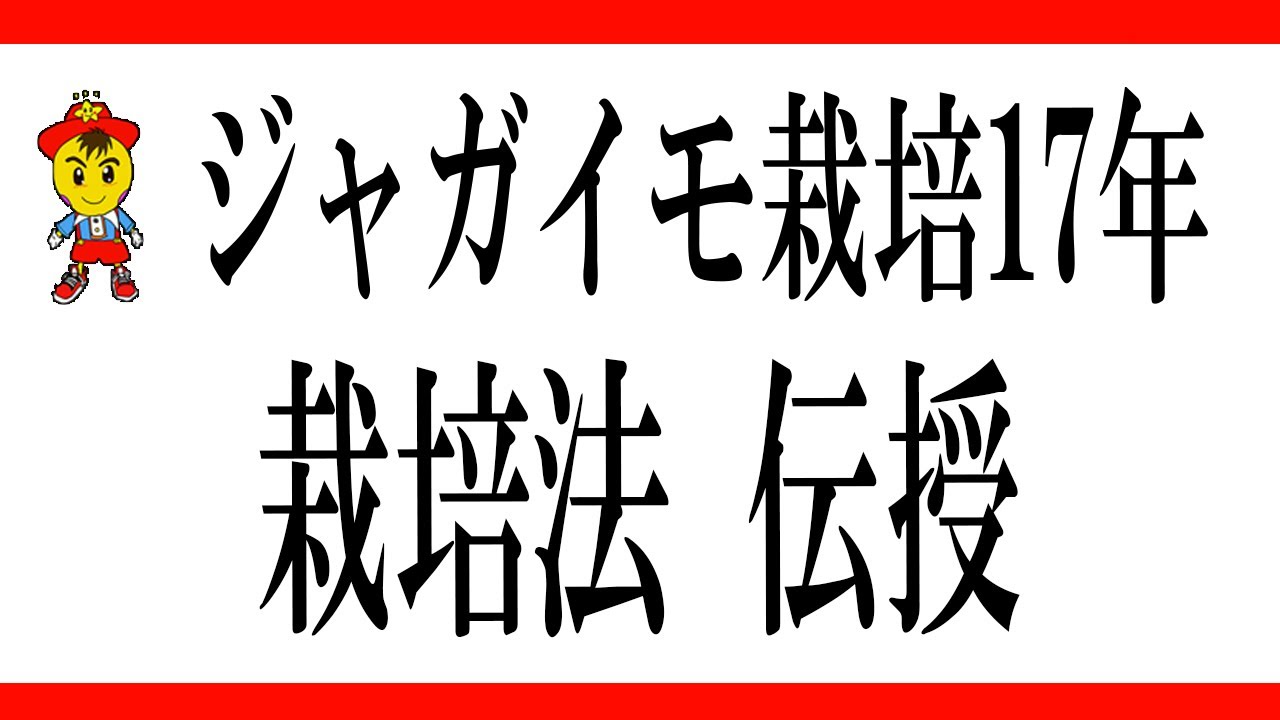 【自然栽培57】ジャガイモの植え付けから、収穫まで要点説明するよ。(o^―^o)ﾆｺ