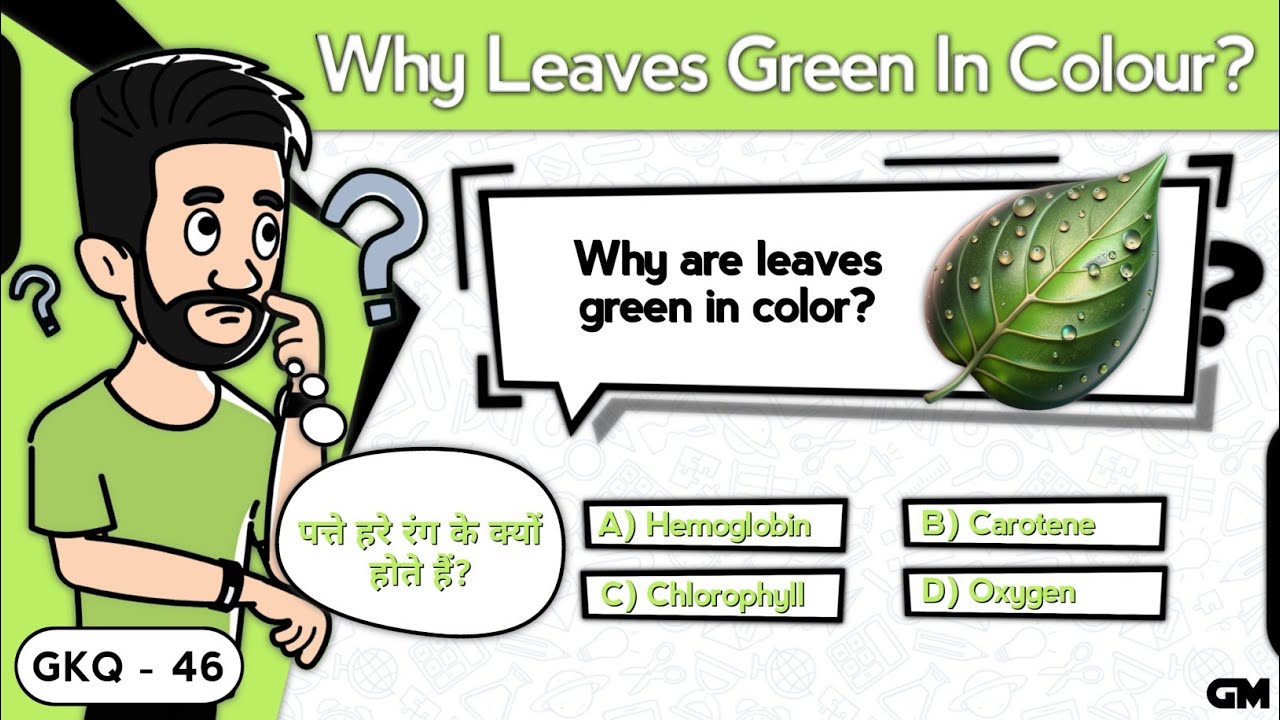 Why Leaves Green In Color? | General Knowledge Questions | Great Mind Official
