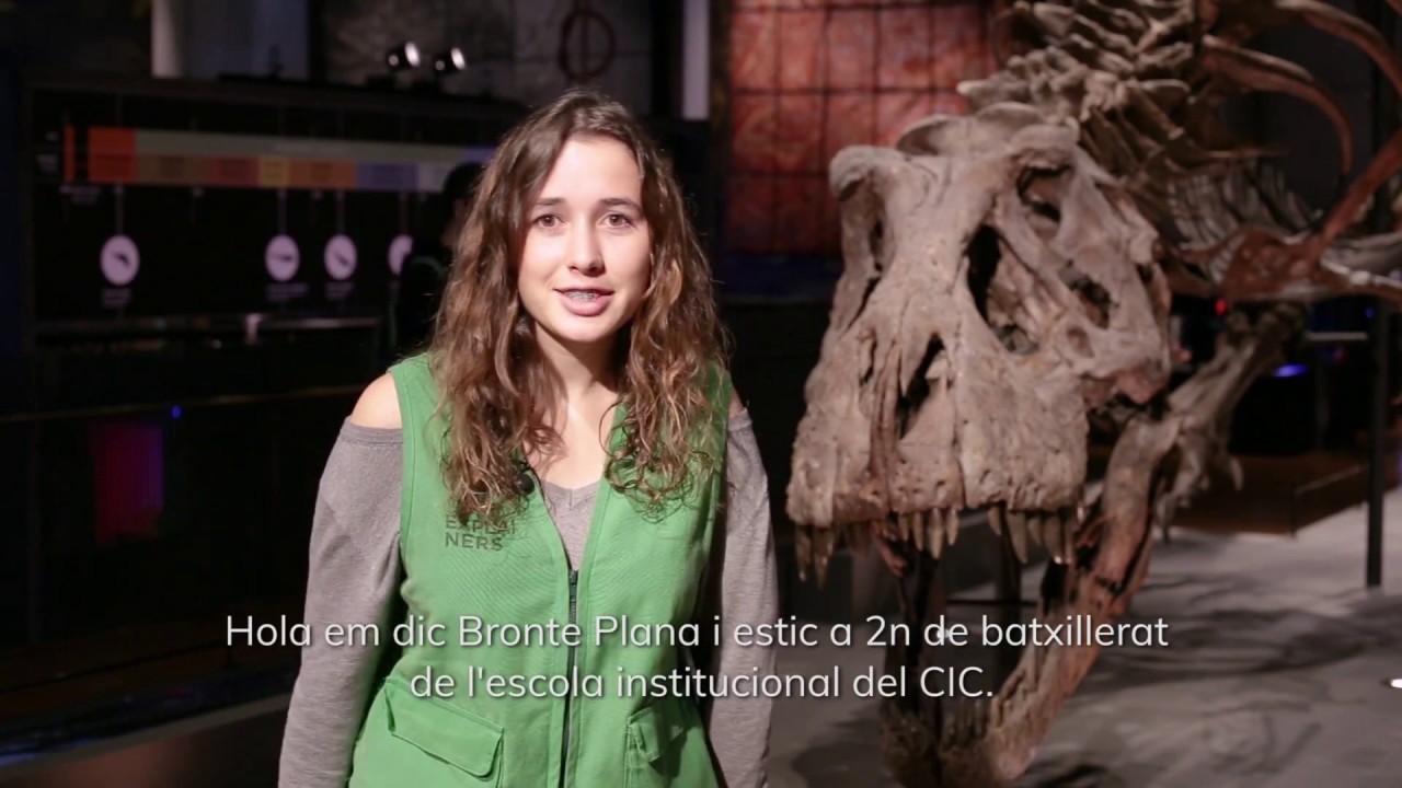 kxan traffic El programa Explainers explicat per una estudiant de batxillerat