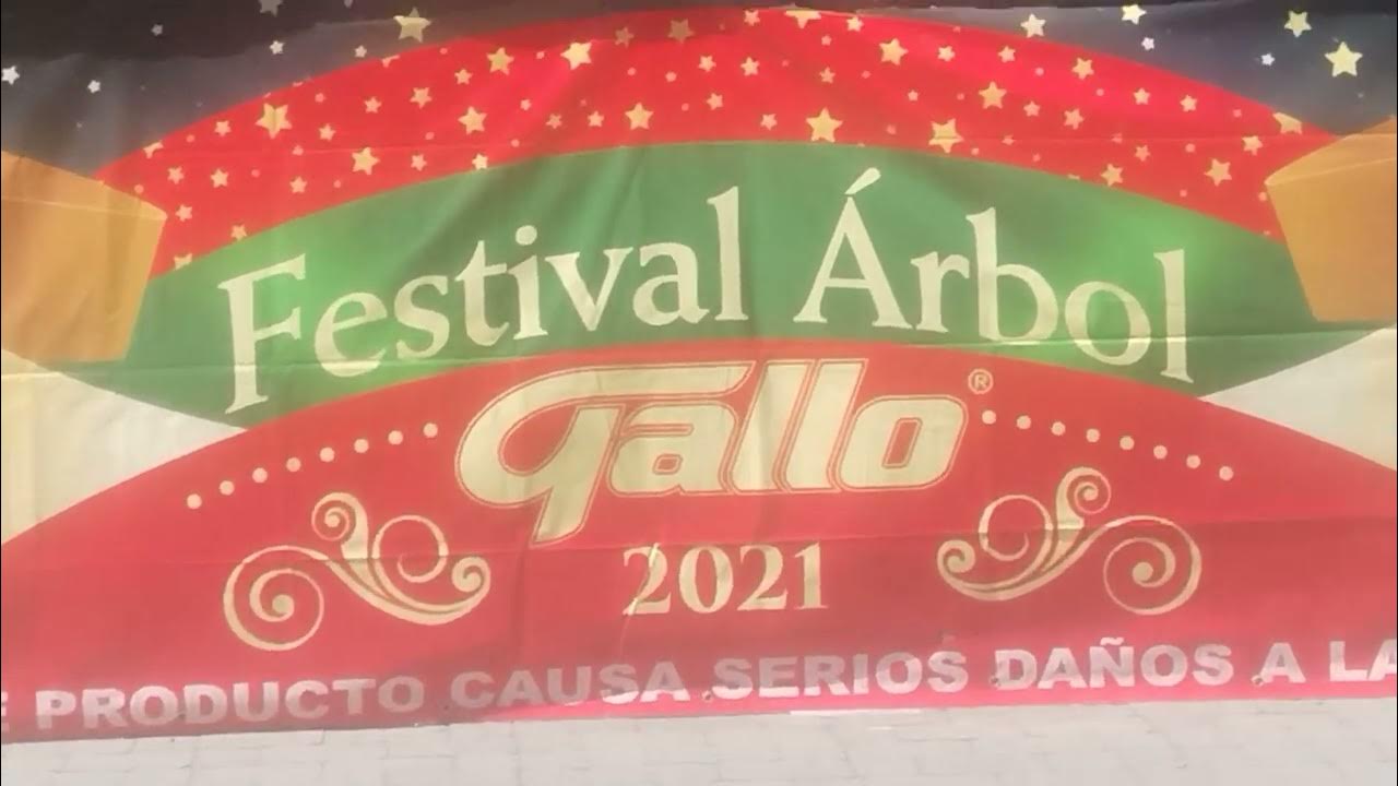 arbol.gallo.2021.en.pleno. 2023.que.mal.el.marqueting YouTube